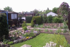 fruehling_2010_01