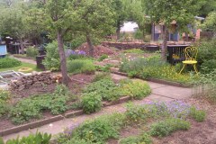 fruehling_2010_02