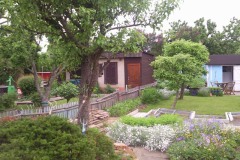 fruehling_2010_03