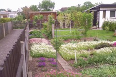 fruehling_2010_04
