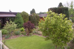 fruehling_2010_05