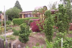 fruehling_2010_06