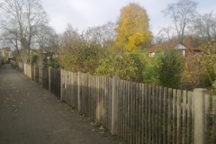 herbst_2012_07