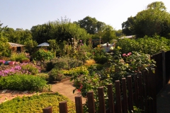 Garten_01