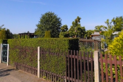 Garten_02