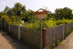 Garten_03