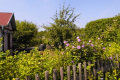 Garten_04