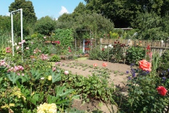 Garten_101