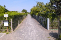 Gartenweg_03