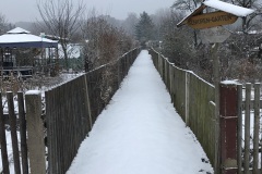 winter_2021_01