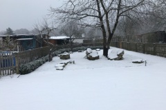 winter_2021_02