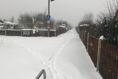 winter_2021_04